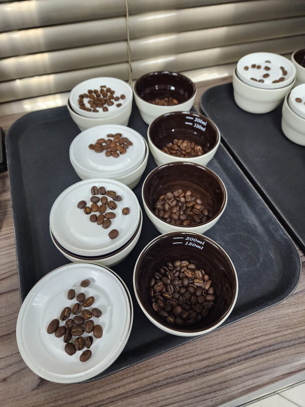 WhatsApp Image 2024-06-19 at 14.50.04